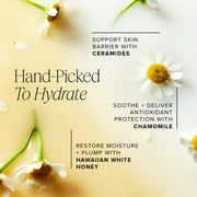 Honey Milk Hydrating Essence